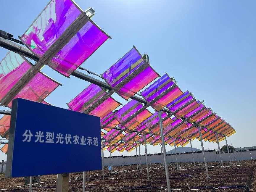 向阳而生，与光共舞——高资100MW光伏项目破土成章，匀光分光间书写"双碳"诗行